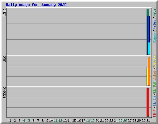 Daily usage for January 2025