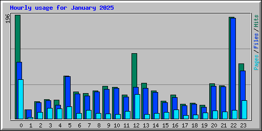 Hourly usage for January 2025